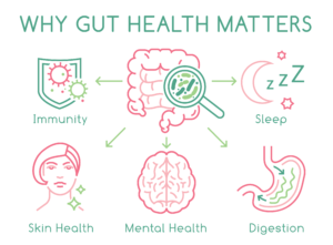 gut-health-social-small
