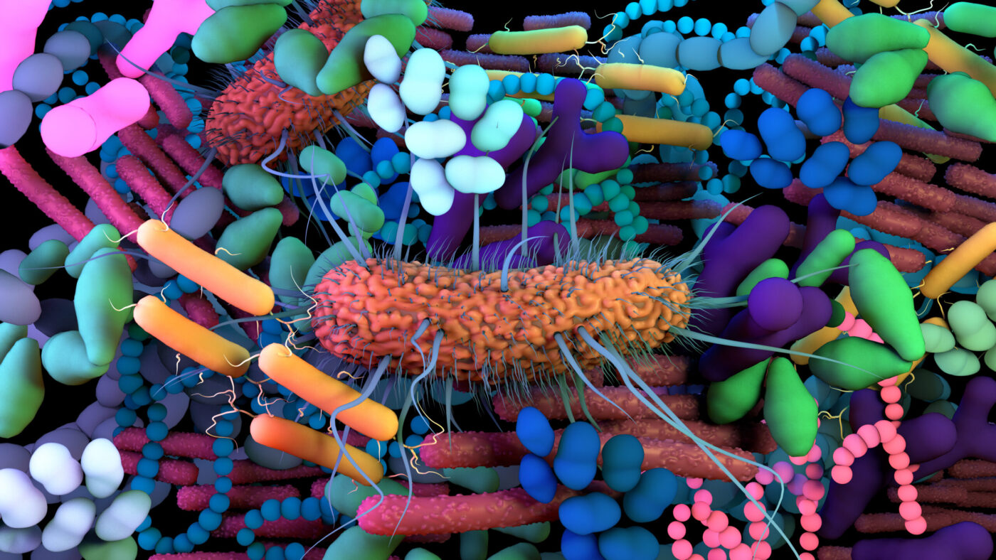 The human Microbiome