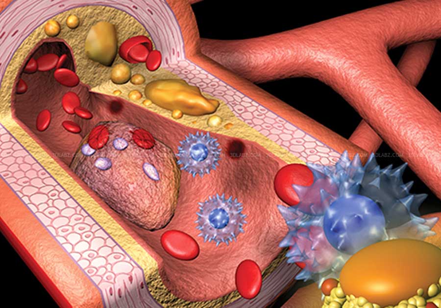 Molecule of cholesterol, 3D illustration